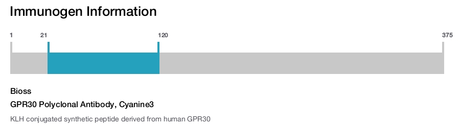 GPR30 Polyclonal Antibody, Cyanine3