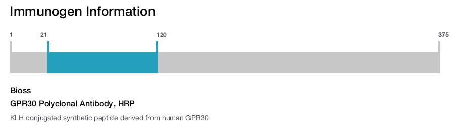 GPR30 Polyclonal Antibody, HRP