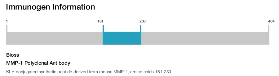 MMP-1 Polyclonal Antibody