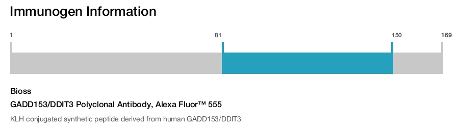 GADD153/DDIT3 Polyclonal Antibody, Alexa Fluor&trade; 555
