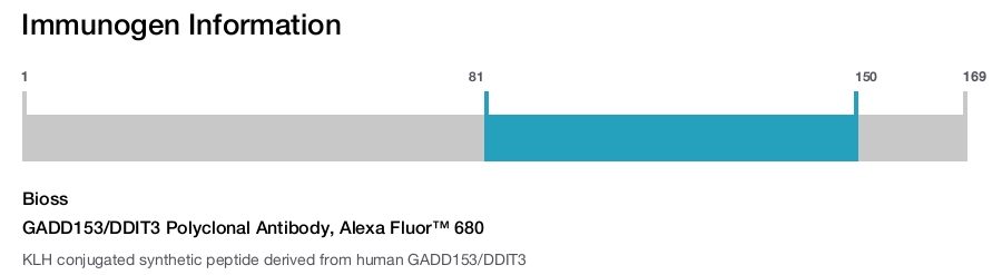 GADD153/DDIT3 Polyclonal Antibody, Alexa Fluor&trade; 680