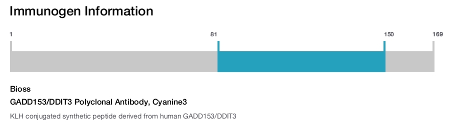 GADD153/DDIT3 Polyclonal Antibody, Cyanine3