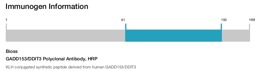 GADD153/DDIT3 Polyclonal Antibody, HRP