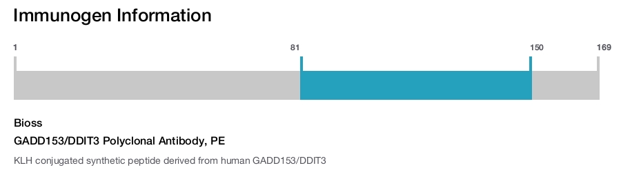 GADD153/DDIT3 Polyclonal Antibody, PE