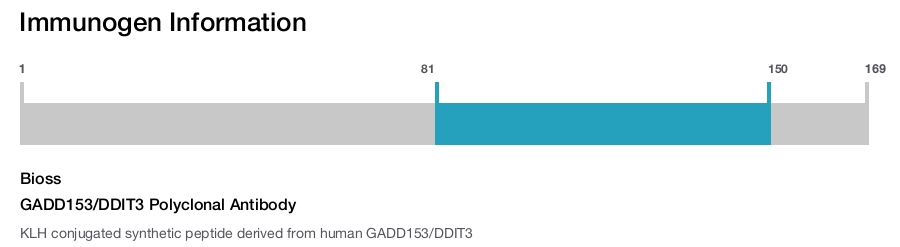 GADD153/DDIT3 Polyclonal Antibody