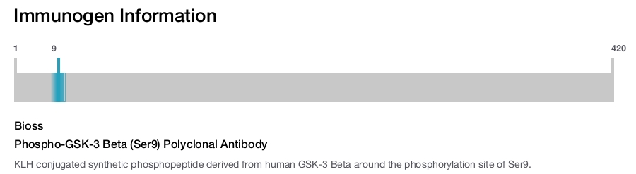 Phospho-GSK-3 Beta (Ser9) Polyclonal Antibody