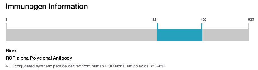 ROR alpha Polyclonal Antibody