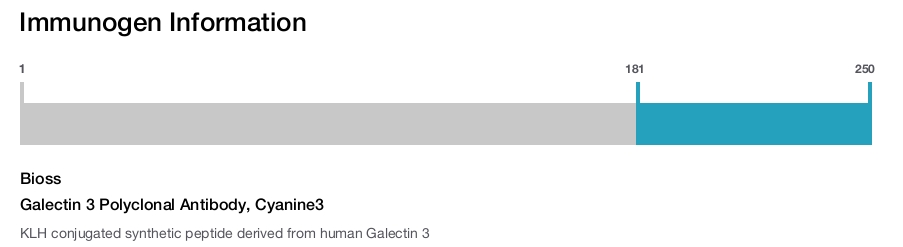 Galectin 3 Polyclonal Antibody, Cyanine3