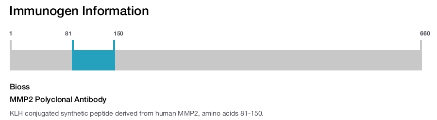 MMP2 Polyclonal Antibody