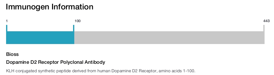 Dopamine D2 Receptor Polyclonal Antibody