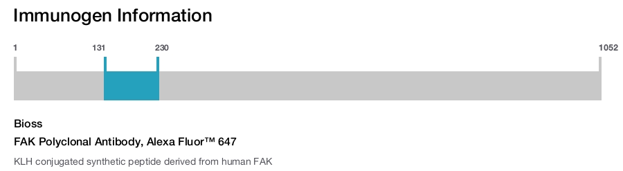 FAK Polyclonal Antibody, Alexa Fluor&trade; 647