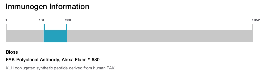 FAK Polyclonal Antibody, Alexa Fluor&trade; 680