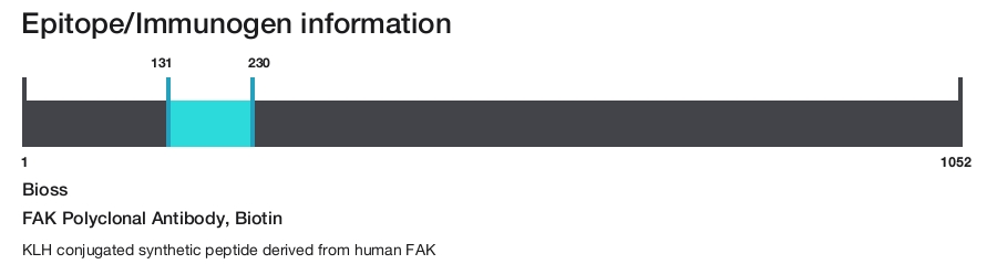 FAK Polyclonal Antibody, Biotin