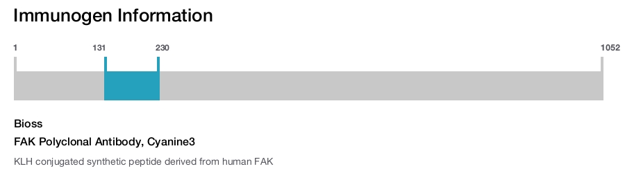 FAK Polyclonal Antibody, Cyanine3