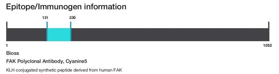 FAK Polyclonal Antibody, Cyanine5