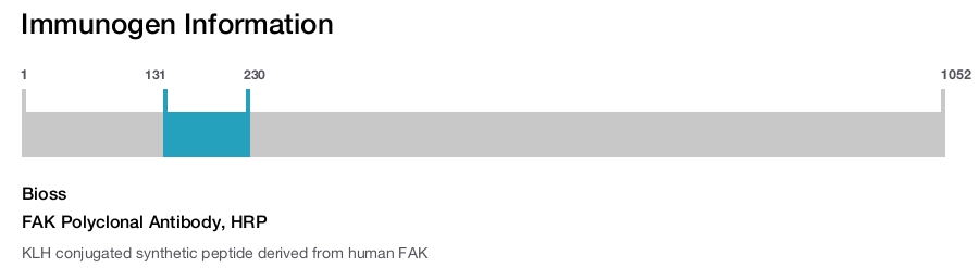 FAK Polyclonal Antibody, HRP