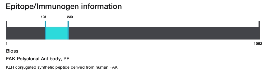 FAK Polyclonal Antibody, PE