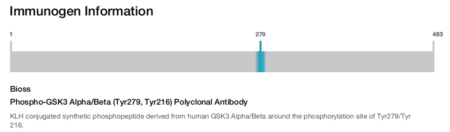 Phospho-GSK3 Alpha/Beta (Tyr279, Tyr216) Polyclonal Antibody