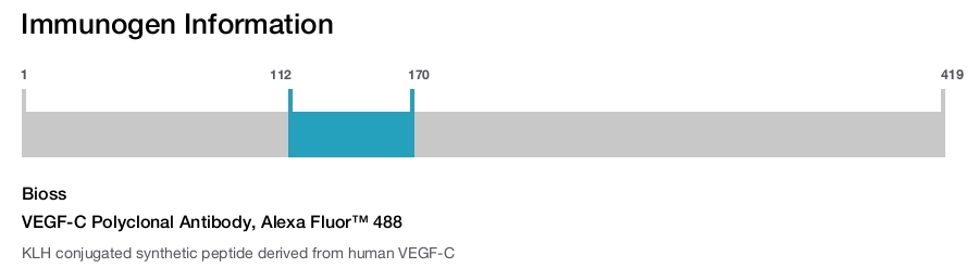 VEGF-C Polyclonal Antibody, Alexa Fluor&trade; 488
