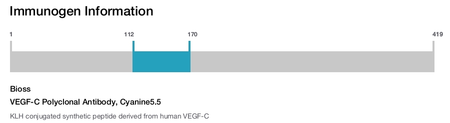 VEGF-C Polyclonal Antibody, Cyanine5.5