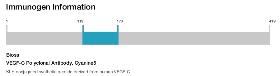 VEGF-C Polyclonal Antibody, Cyanine5