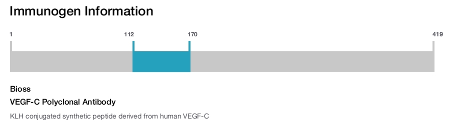 VEGF-C Polyclonal Antibody