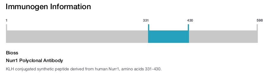 Nurr1 Polyclonal Antibody