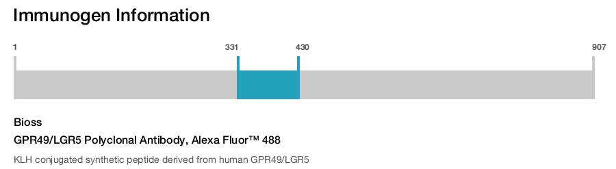 GPR49/LGR5 Polyclonal Antibody, Alexa Fluor&trade; 488