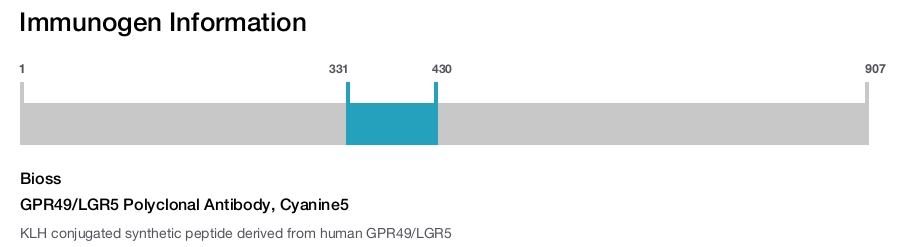 GPR49/LGR5 Polyclonal Antibody, Cyanine5