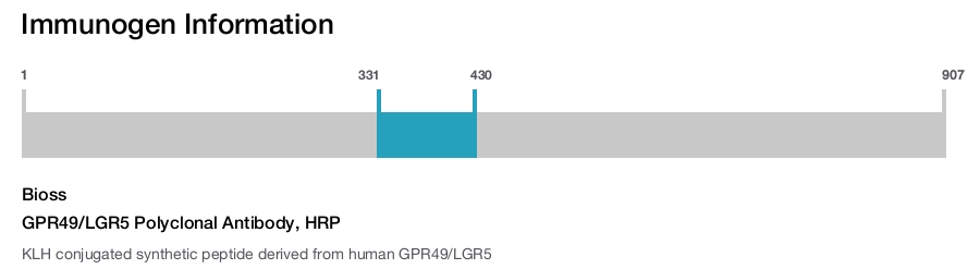 GPR49/LGR5 Polyclonal Antibody, HRP