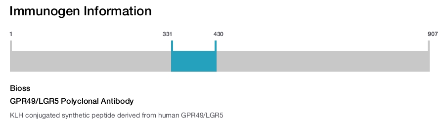 GPR49/LGR5 Polyclonal Antibody