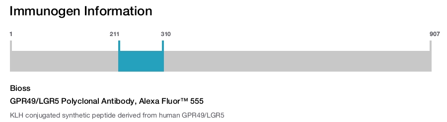 GPR49/LGR5 Polyclonal Antibody, Alexa Fluor&trade; 555