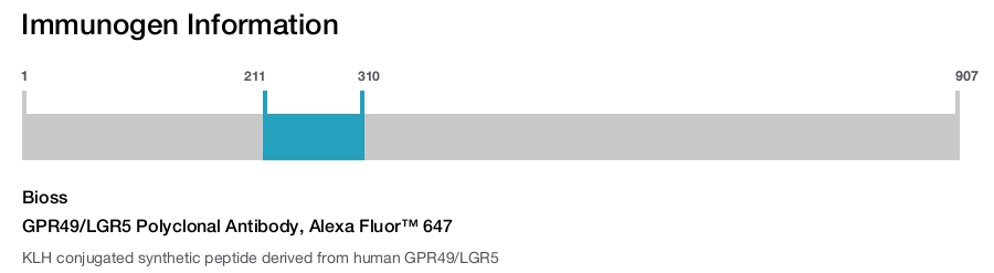 GPR49/LGR5 Polyclonal Antibody, Alexa Fluor&trade; 647