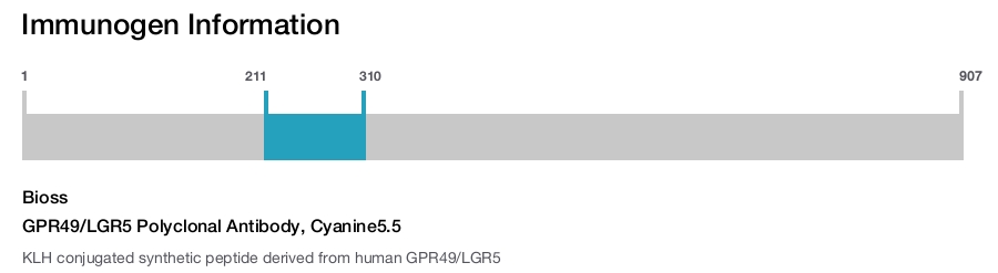 GPR49/LGR5 Polyclonal Antibody, Cyanine5.5