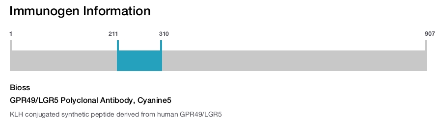 GPR49/LGR5 Polyclonal Antibody, Cyanine5