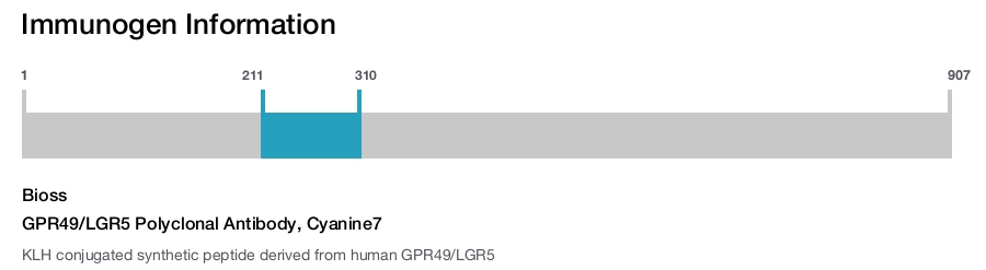 GPR49/LGR5 Polyclonal Antibody, Cyanine7