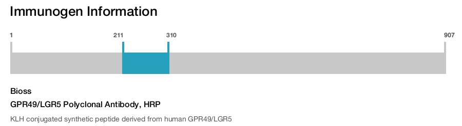 GPR49/LGR5 Polyclonal Antibody, HRP