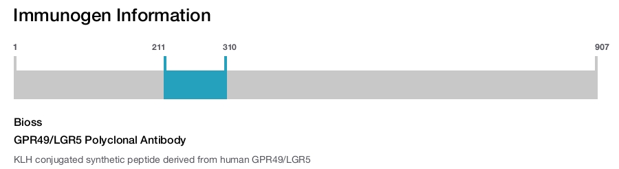 GPR49/LGR5 Polyclonal Antibody
