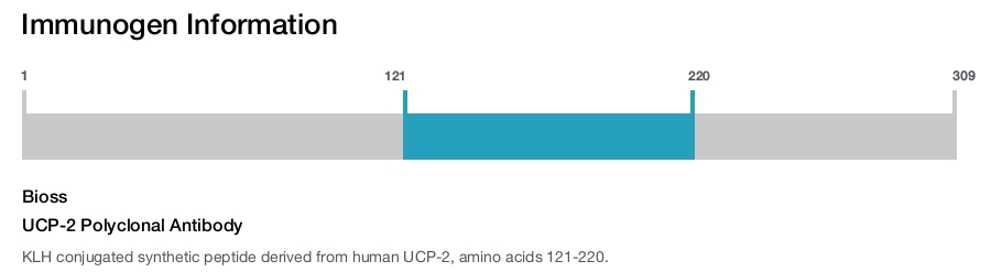UCP-2 Polyclonal Antibody