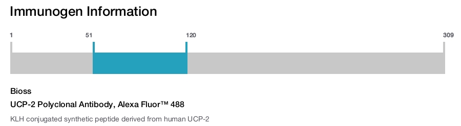 UCP-2 Polyclonal Antibody, Alexa Fluor&trade; 488