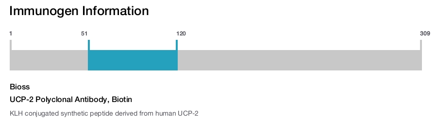 UCP-2 Polyclonal Antibody, Biotin