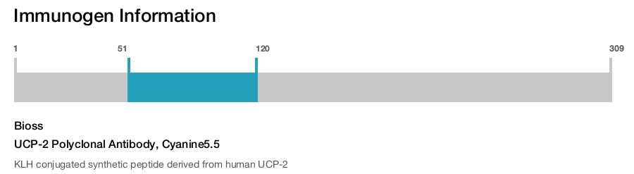 UCP-2 Polyclonal Antibody, Cyanine5.5
