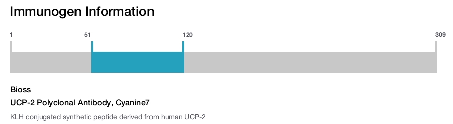 UCP-2 Polyclonal Antibody, Cyanine7