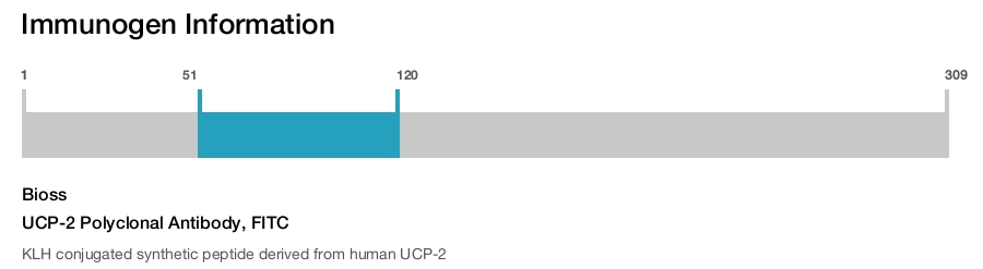 UCP-2 Polyclonal Antibody, FITC