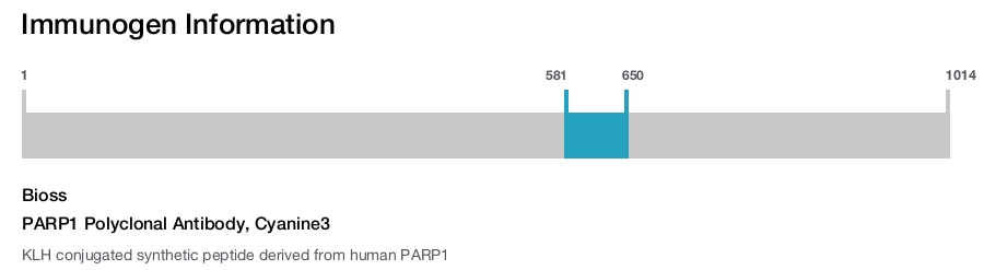 PARP1 Polyclonal Antibody, Cyanine3
