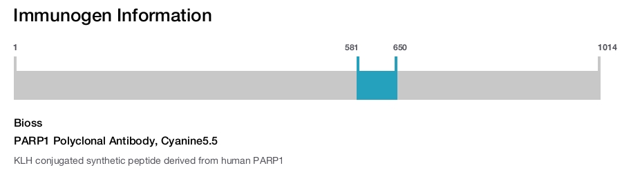 PARP1 Polyclonal Antibody, Cyanine5.5