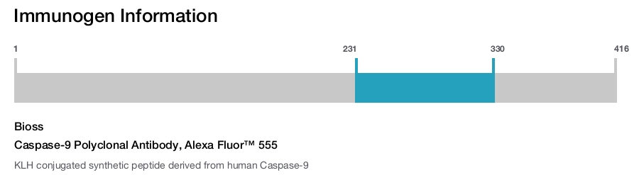 Caspase-9 Polyclonal Antibody, Alexa Fluor&trade; 555