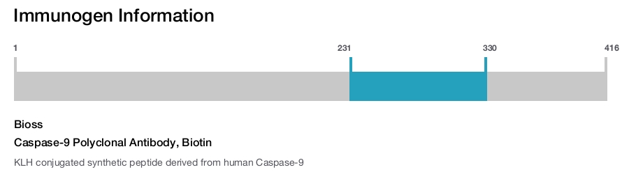Caspase-9 Polyclonal Antibody, Biotin