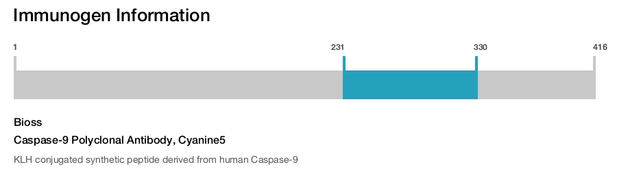 Caspase-9 Polyclonal Antibody, Cyanine5