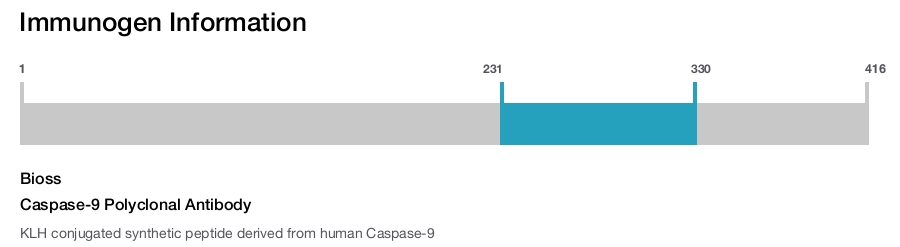 Caspase-9 Polyclonal Antibody